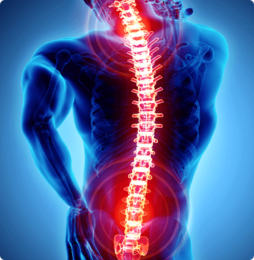 Neck & Back Skeletal image of an inflamed spine over someone experiencing back pain and in need of a specialist.