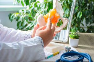 orthopedic surgeon holds the scalpel over the anatomical model of the hip joint